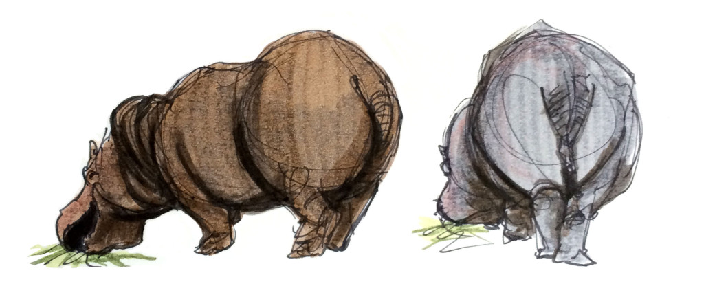 Sketchbook Hippos